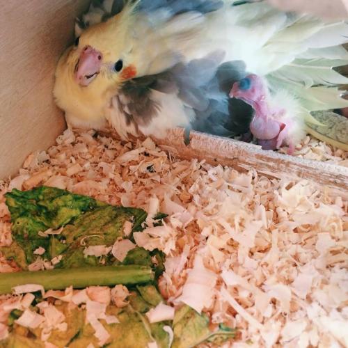 1940156_951658868242331_818207192_n.thum