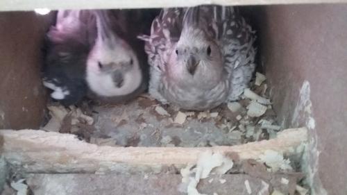 20151121_092456.thumb.jpg.50ffce99ed218b