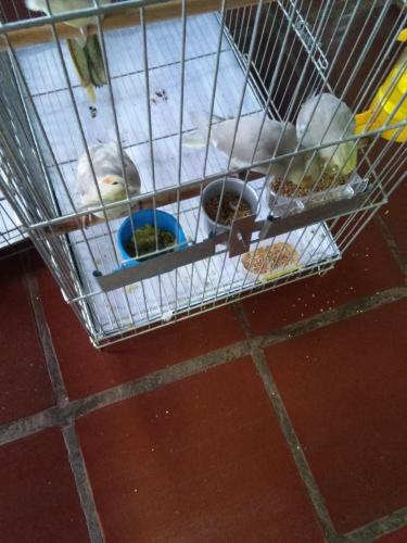 20151201_193942.thumb.jpg.93daa7cac5e7f6