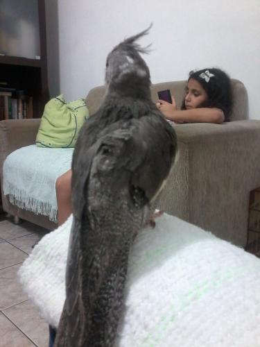 20151210_195747.thumb.jpg.5cfd0433643007