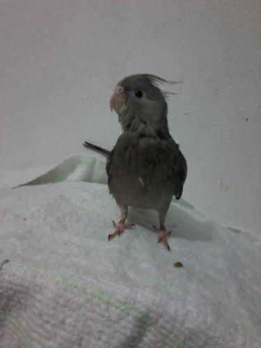 20151210_205820.thumb.jpg.75bc4fc8f44798