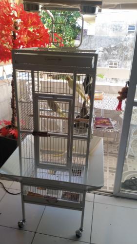 20151216_171327.thumb.jpg.e601c8a311e8d3