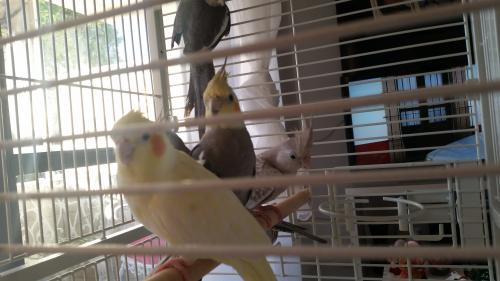 20151216_172417.thumb.jpg.2b8d2b85ea64e2