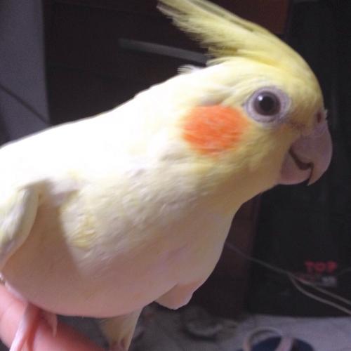 20151218091609.thumb.jpg.581da002920ced8