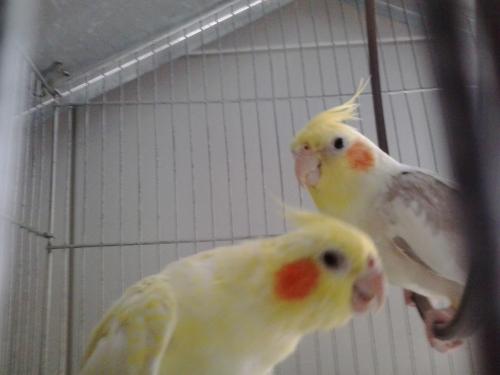 2015-04-03 10.28.31.jpg