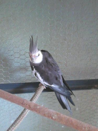 5684428560606_DSC_02701.thumb.jpg.390a68