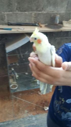 IMG-20151206-WA0016.thumb.jpg.4d82096834