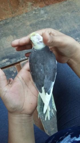 IMG-20151206-WA0018.thumb.jpg.31e156bba0