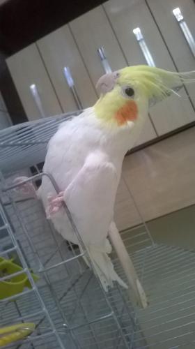 WP_20150927_013-1.thumb.jpg.c243dfac3901