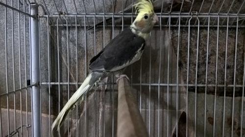 WP_20151006_20_57_33_Pro.thumb.jpg.4631c