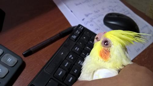 WP_20151211_11_49_27_Pro.thumb.jpg.cb0ba