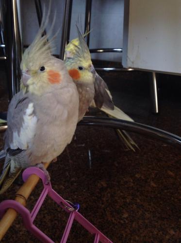 image.thumb.jpg.668857232fb5a57b14e58351