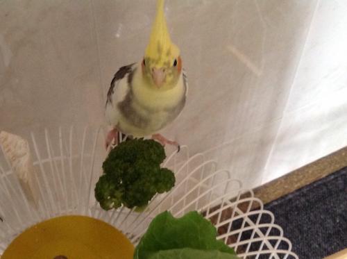 image.thumb.jpg.980542ae4c62721287d1e666