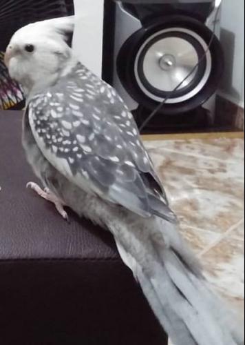 1239747_936446306423743_3625686861202409