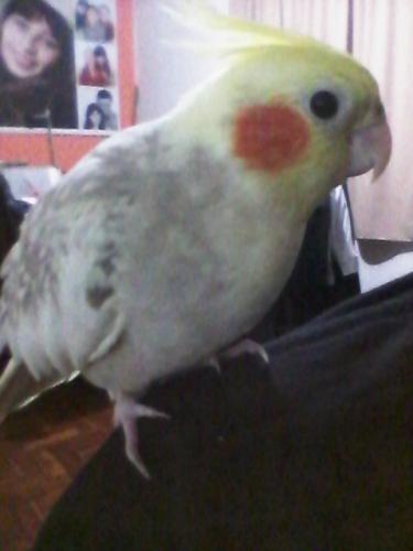 20150626_222343(1).thumb.jpg.465970c29d4