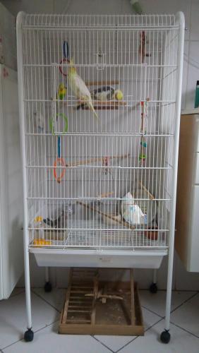 20151202_182933.thumb.jpg.682cc90a77b987