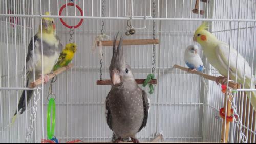 20151203_174528.thumb.jpg.447889a5377260