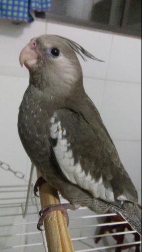 20151216_212602.thumb.jpg.689ec7816dd6d1