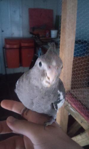 20151230_080328.thumb.jpg.1f5bdf4c8fd264