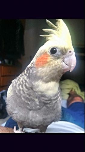 2016-01-11_18.59.26.thumb.jpg.46fdc2b715