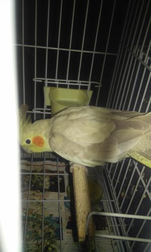 20160102_222816.thumb.jpg.e496754526f761