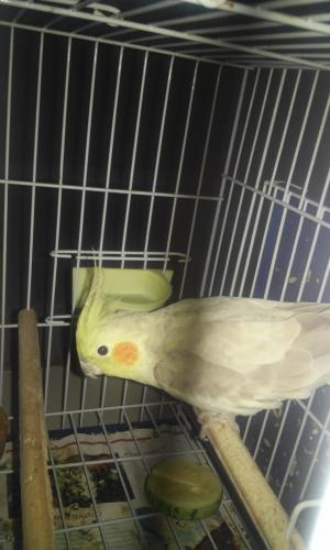 20160102_222827.thumb.jpg.680bad54cdd83d