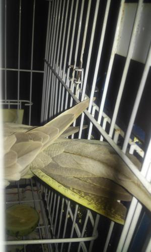 20160102_222834.thumb.jpg.7751e627b91863