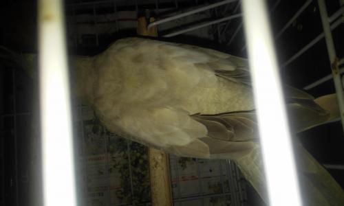 20160102_222847.thumb.jpg.ed9eb0b5b92bc4