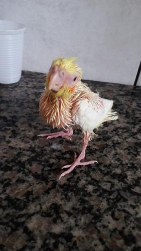 20160104_172322.thumb.jpg.64b656639c4f34