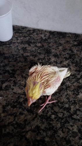 20160104_172340.thumb.jpg.89b9491c5dfdf1