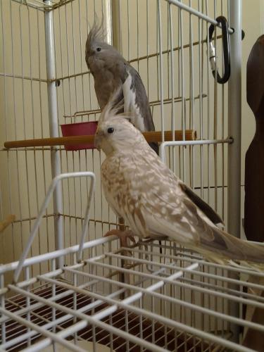 20160107_154837.thumb.jpg.aa3d292ecbedaa