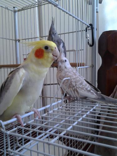 20160107_154922.thumb.jpg.c82d97b665fed5