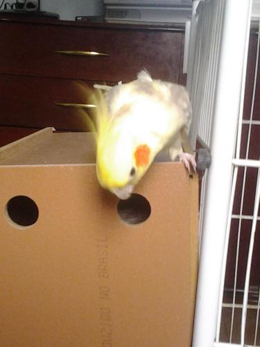 20160109_163228.thumb.jpg.dcbf0bb68fcd05