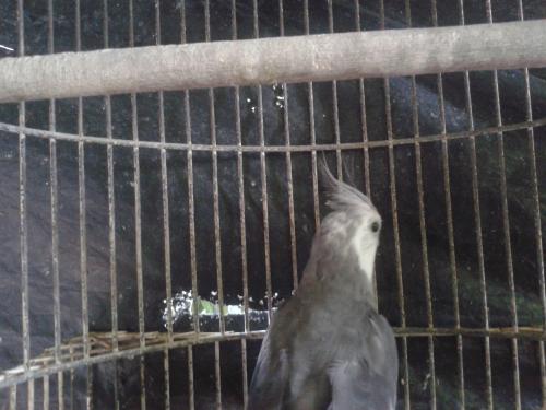 20160110_181200.thumb.jpg.beff866bf0b1c2