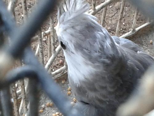 20160110_183704.thumb.jpg.6403d2b925306e