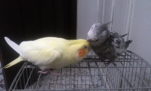 20160112_224904.thumb.jpg.8036686a6717e0