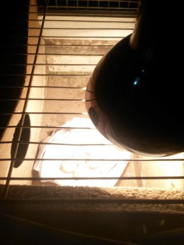 20160113_085000.thumb.jpg.a344a7140fc123