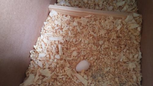 20160118_135151.thumb.jpg.453174b7f494a8