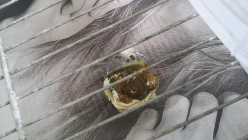 20160118_135902.thumb.jpg.4296ce0eaba4a2