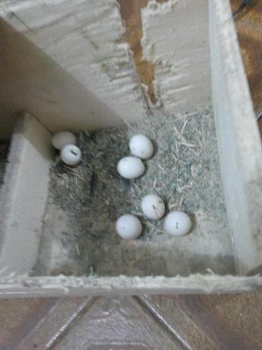 20160120_220644.thumb.jpg.10b2a3694f9d7e