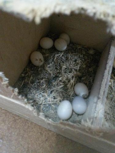 20160120_220648.thumb.jpg.0742eadb9c42c0