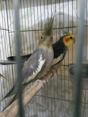 20160120_220711.thumb.jpg.a86c013bee0412