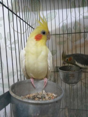 20160120_220722.thumb.jpg.29ea5f0513c0f6