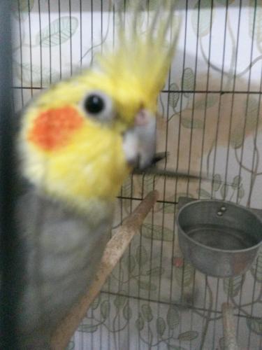 20160120_220758.thumb.jpg.57d0f33e6d98ba