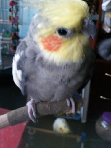 20160121_134157.thumb.jpg.ede1ecac284a84