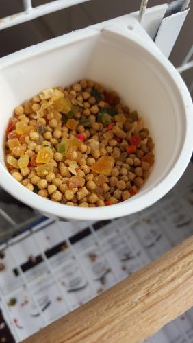 20160122_184500.thumb.jpg.47ece8774fd65b