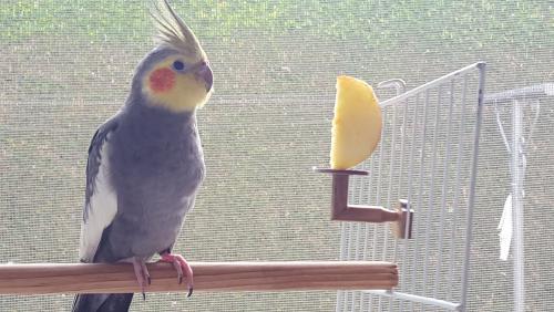 20160122_184550.thumb.jpg.457a03f1bd3719