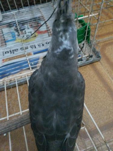 20160129_140027.thumb.jpg.39b366a2b45a2a