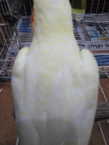 20160129_140040.thumb.jpg.56d2d522fe9b28