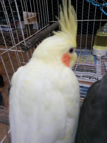 20160129_142013.thumb.jpg.e8b8965d9b7e50